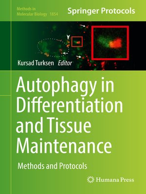 cover image of Autophagy in Differentiation and Tissue Maintenance